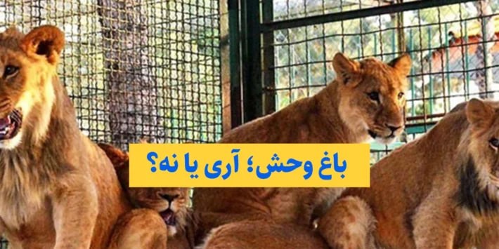 خلا قانونی در قاچاق حیات وحش؛ باغ‌وحش‌ها مالک جان حیواناتند